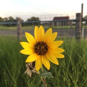 Meet your Posher, Mackenzie